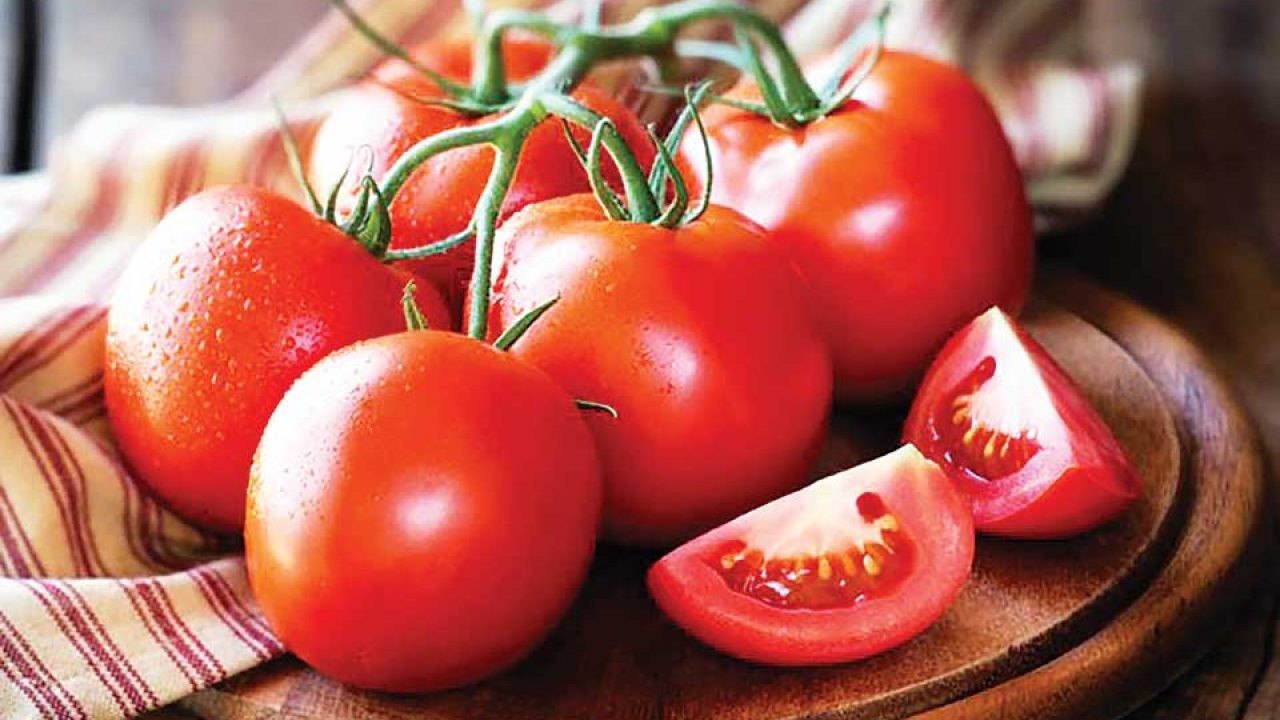 Conservar jitomates de la mejor forma