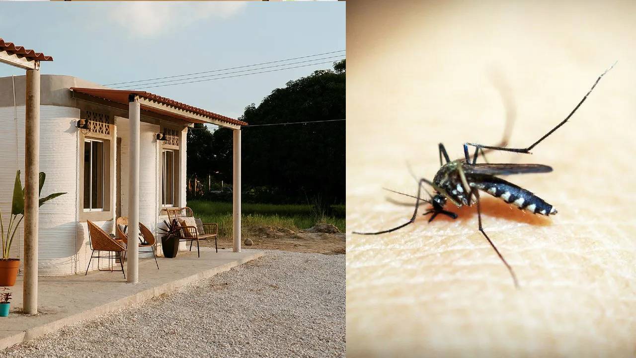 Dejar fuera a moscos y mosquitos