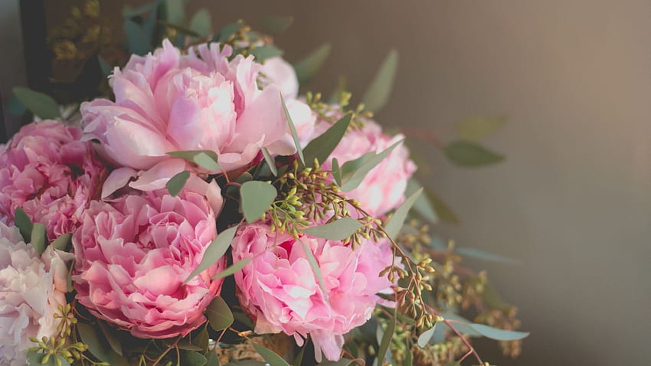 La razón por la que son tan caras las peonías