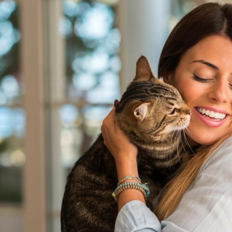 Personalidad personas amantes de gatos