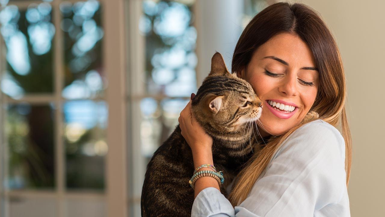 Personalidad personas amantes de gatos