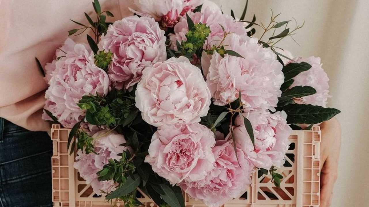 Ramo de peonías