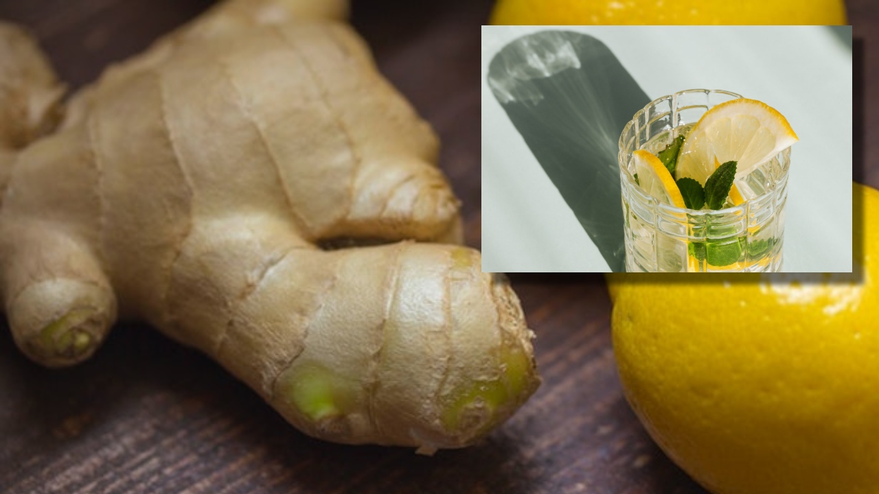 bebida gasificada de jengibre