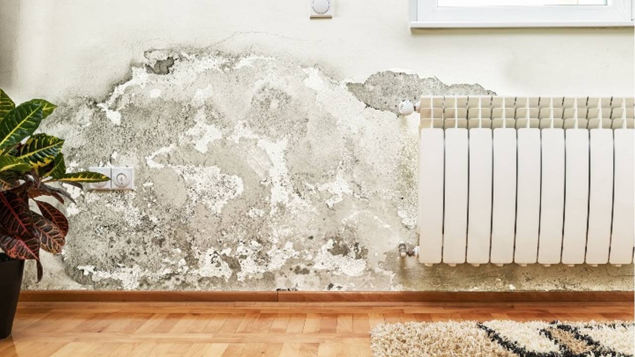 Salitre en las paredes