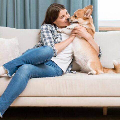quitar el olor a perro de los sillones