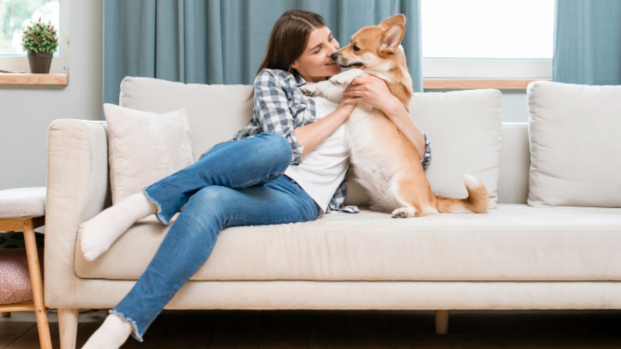 quitar el olor a perro de los sillones