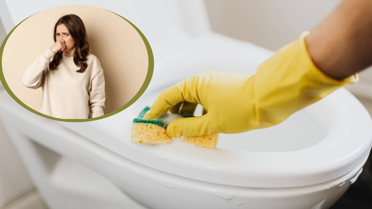 Eliminar olor a orina del baño