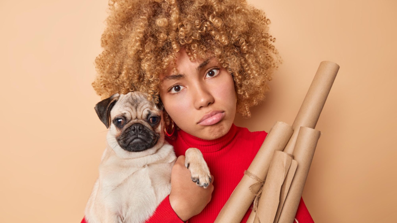 consentir a tu perro en extremo