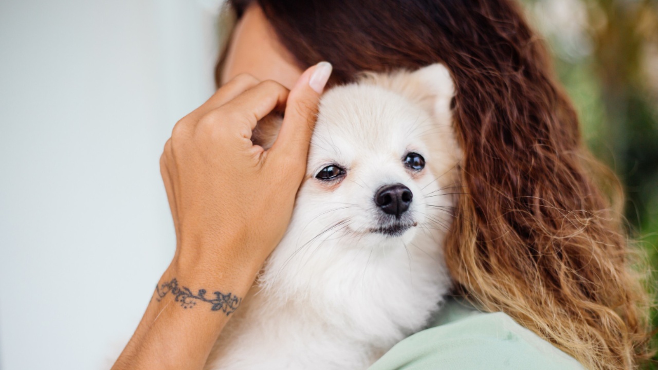 Amar demasiado a tu perro