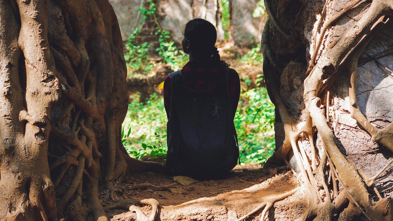 Árboles que dan sombra