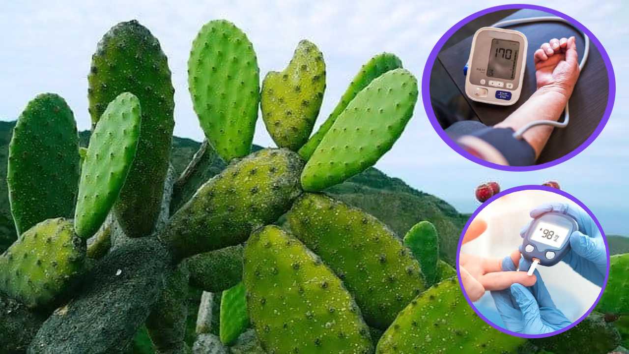 Beneficios de comer nopal