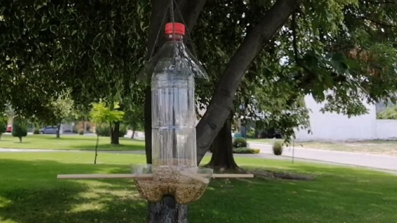 Comedero de aves casero