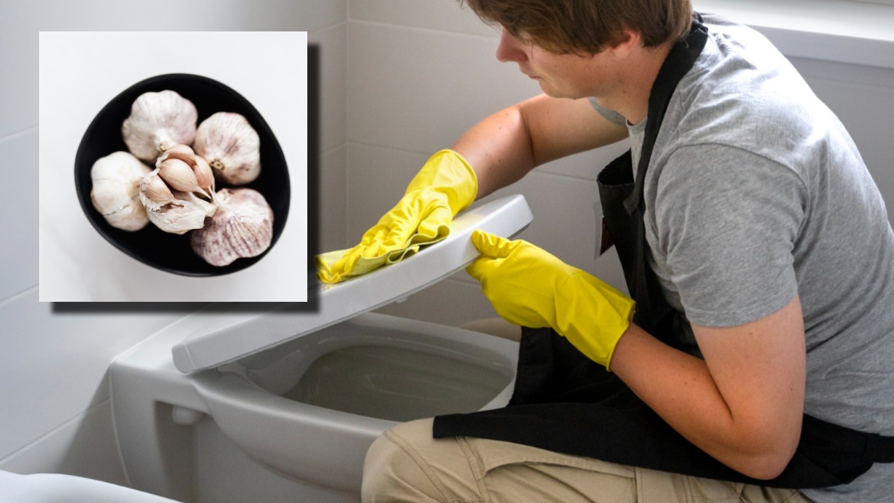 Aprende cómo usar el ajo para limpiar el sanitario