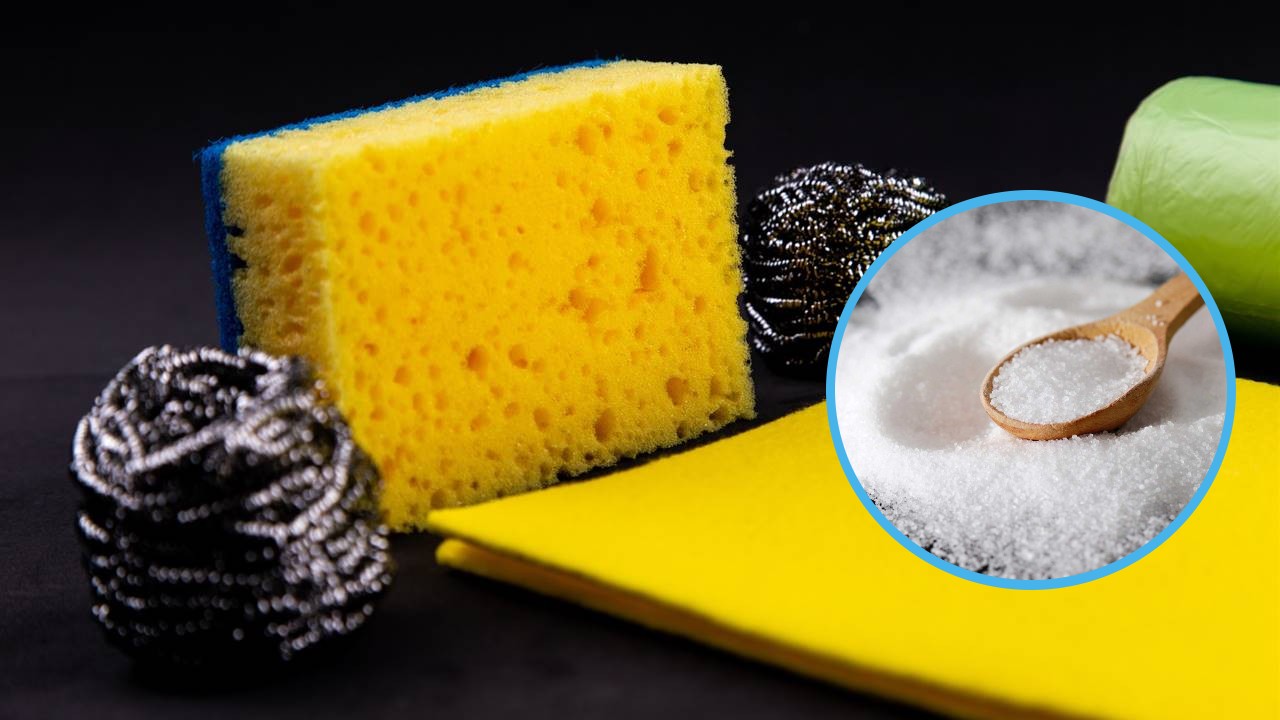 Echar sal a la esponja para trastes