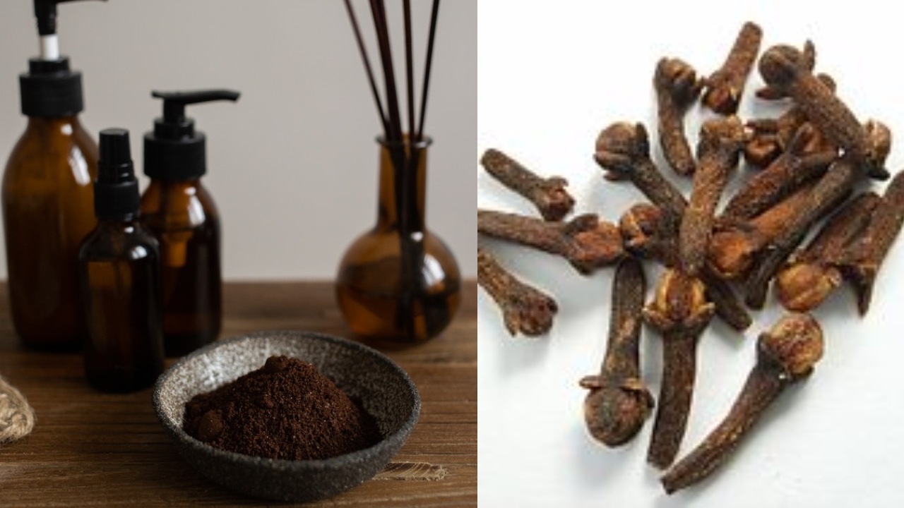 acabar con los mosquitos en instantes