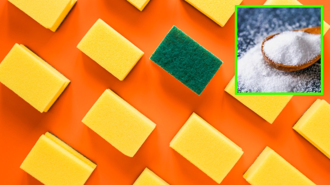 Dale una nueva vida a las esponjas viejas