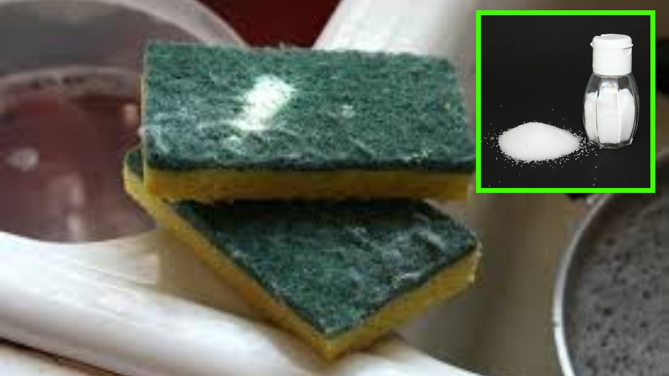 esponjas de cocina están maltratadas