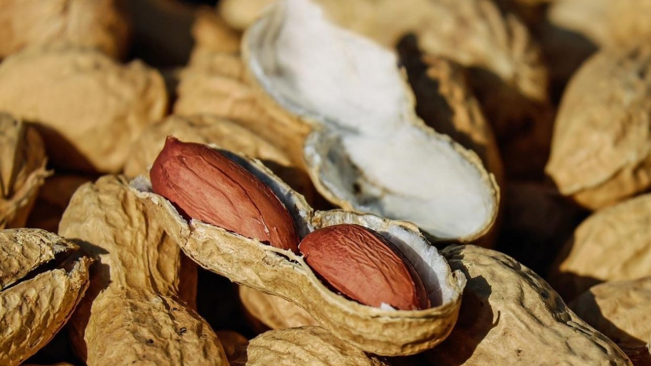 Formas de reutilizar las cáscaras de cacahuate