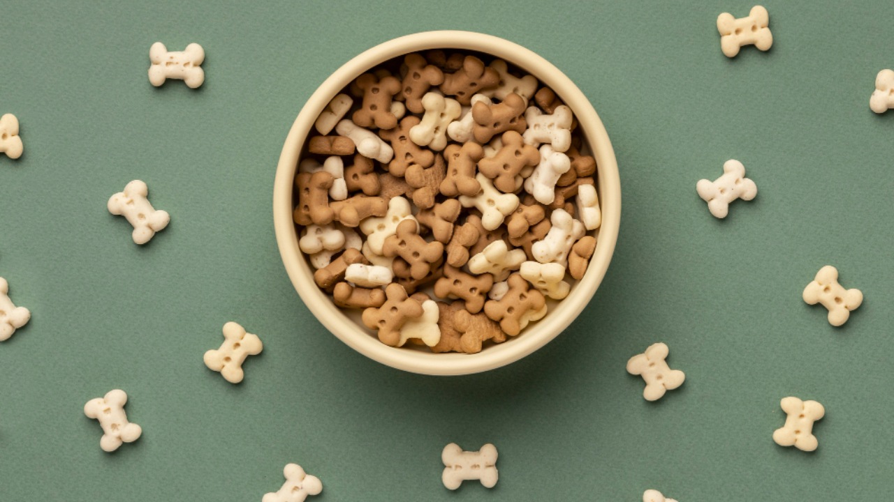 premios caseros para perros