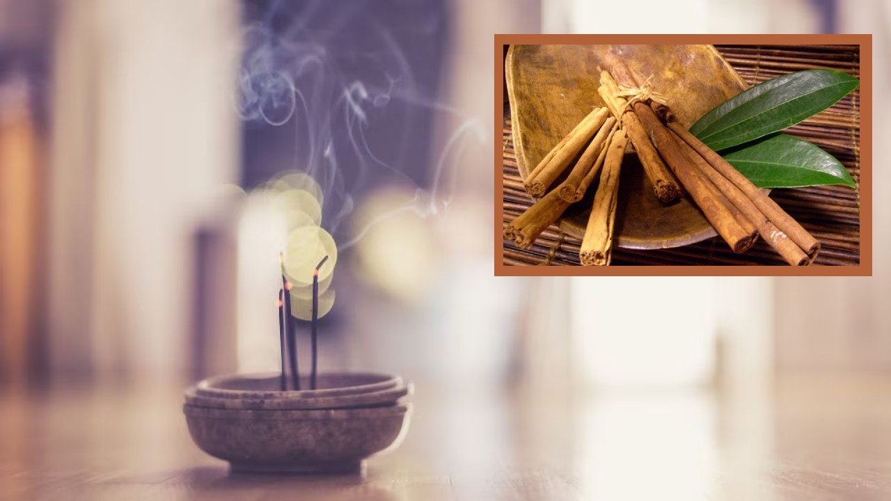 Feng Shui canela y laurel