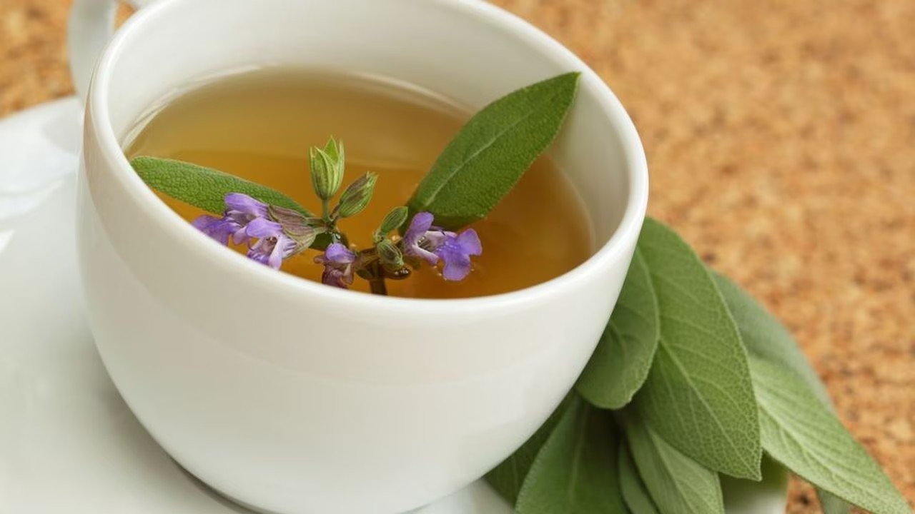 Planta para ayudar a las síntomas de la menopausia