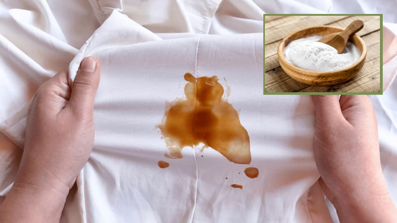 Cómo eliminar por completo las manchas de aceite