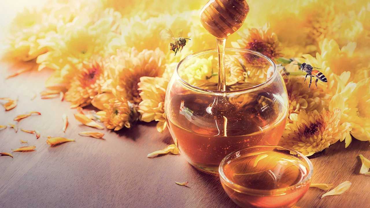 Miel de abejas y porque son importantes