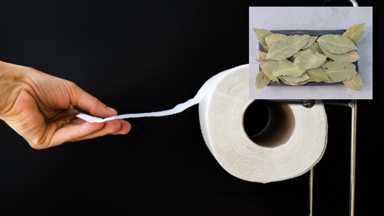 Conoce uno de los usos de las hojas de laurel