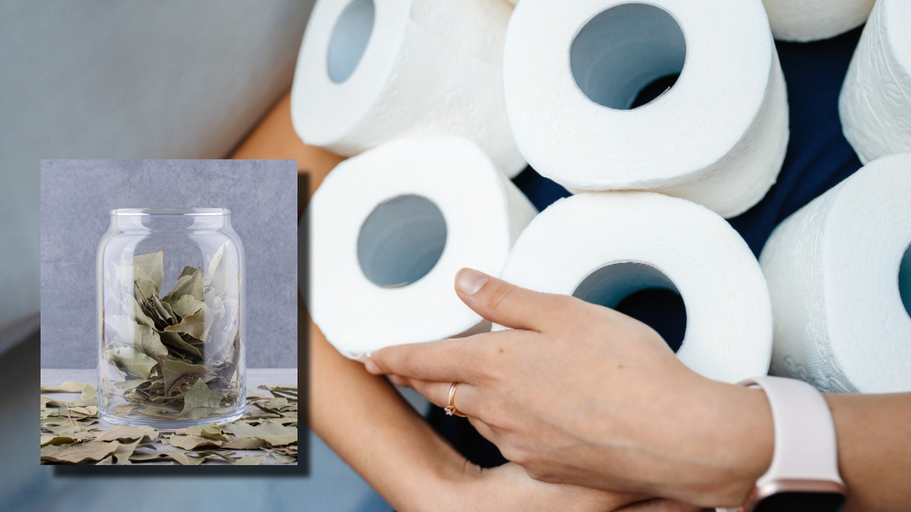 poner una hoja de laurel en tu papel higiénico