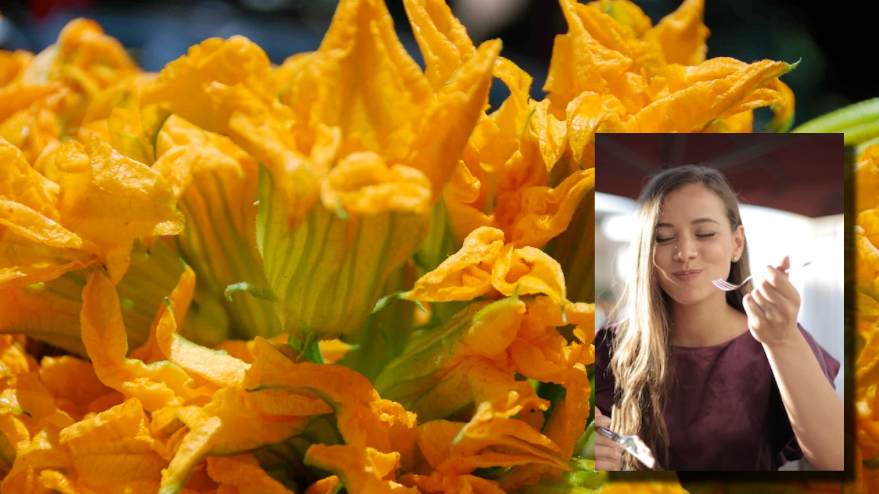 ¿Qué le pasa a tu cuerpo si comes flor de calabaza todos los días?