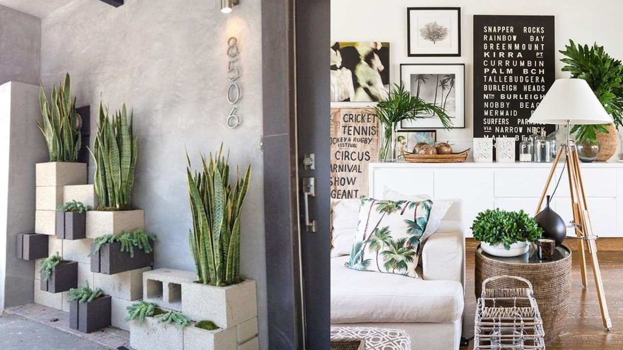5 ideas creativas para incorporar las plantas en la decoración