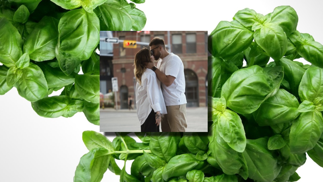 ritual para encontrar un amor fiel