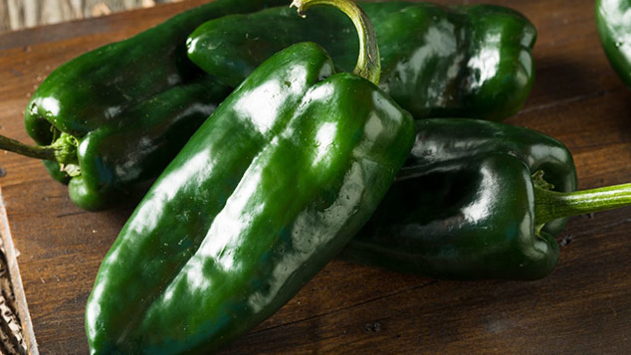 Chile poblano original vs. pirata