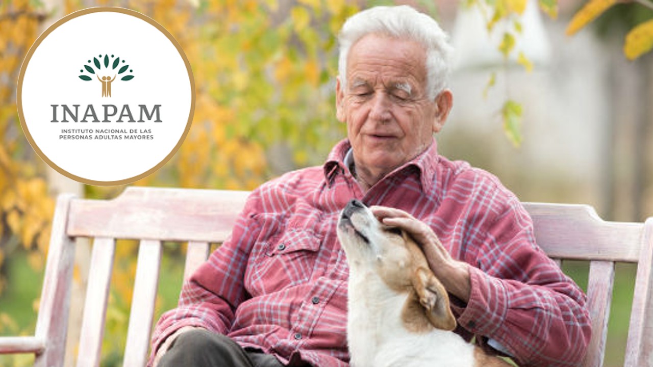 INAPAM: Estás son las veterinarias que ofrecen descuentos a los adultos mayores