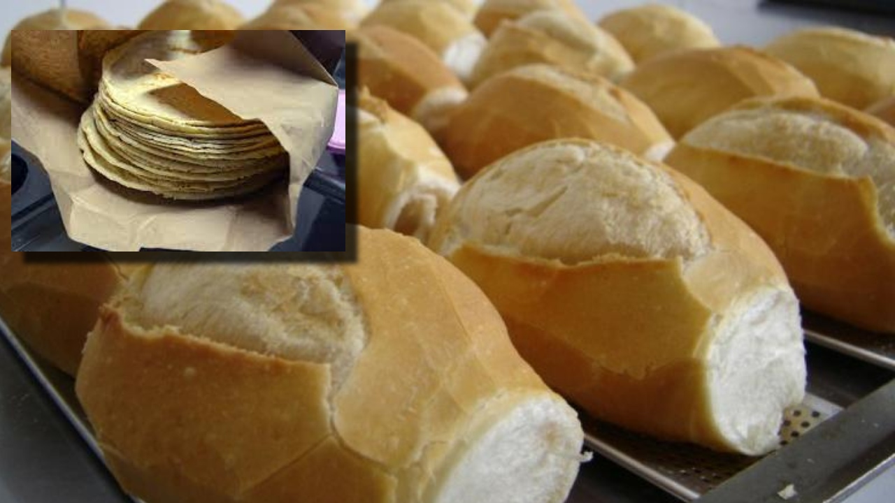 ¿Qué engorda más, las tortillas o bolillos?