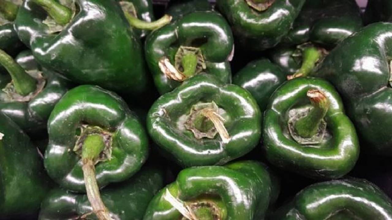 Chile poblano original vs. pirata